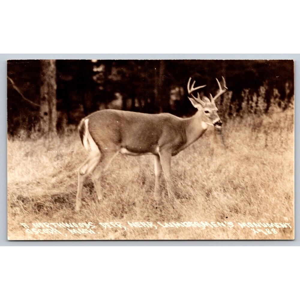 Vintage Postcard Oscoda MI Northwoods Deer Lumberman's Monument LL Cook Co